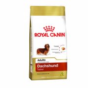 Ração Royal Canin Dachshund Adulto