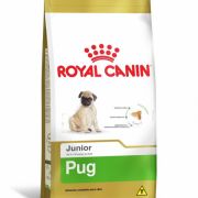 Ração Royal Canin Pug Junior